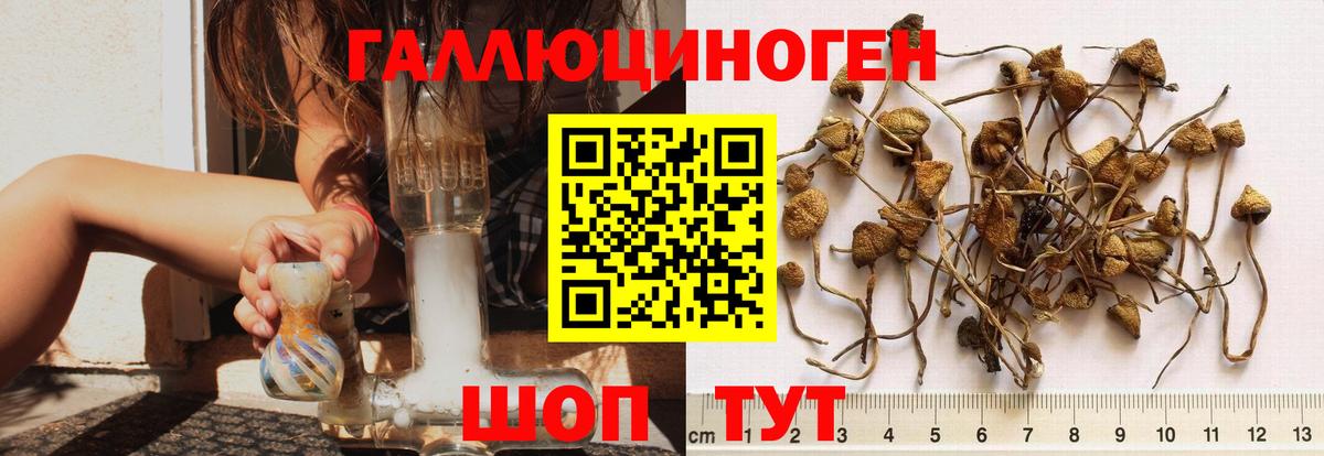 Новоалександровск  Псилоцибиновые грибы Psilocybine cubensis  Вход с VPN  Галлюциногенные грибы мухоморы 