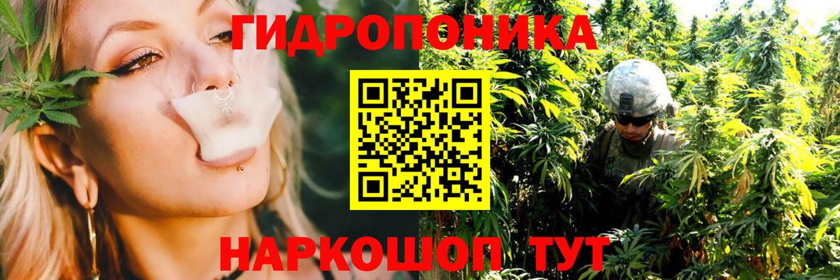 Каннабис план  Вход с VPN  Новоалександровск  Канабис Bruce Banner  Канабис Amnesia 
